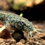 02b7eba14eeba523982b6c404043aeb4_s