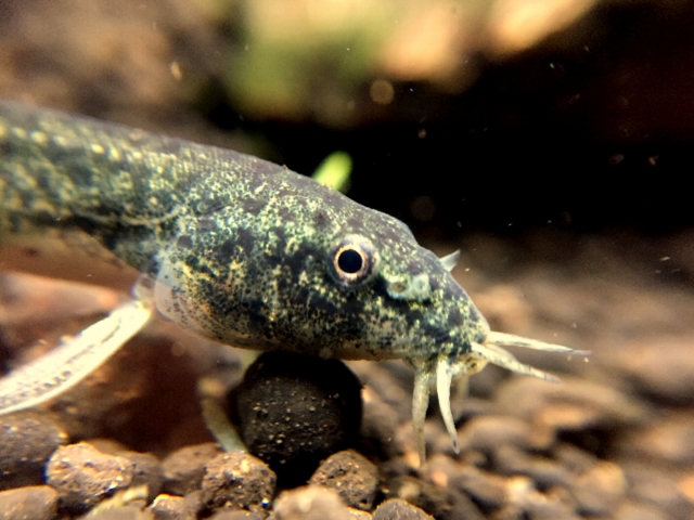 02b7eba14eeba523982b6c404043aeb4_s