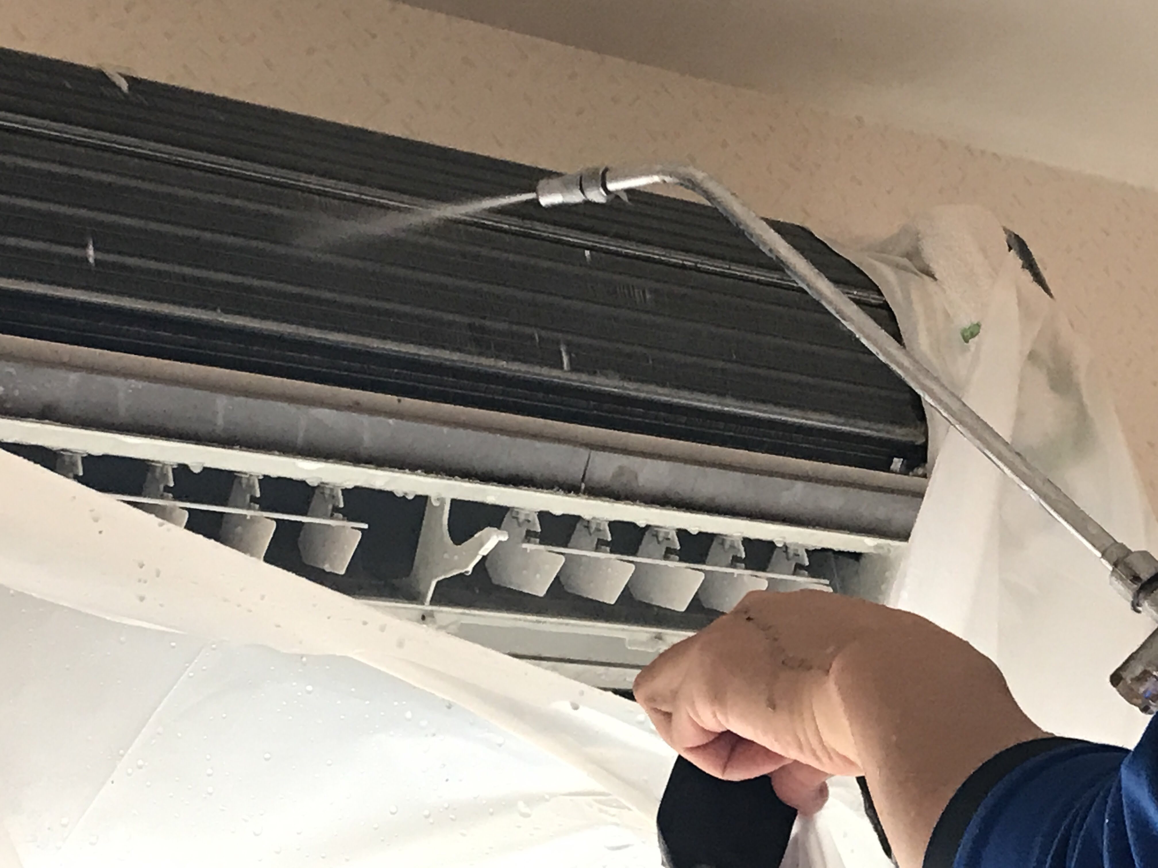 0954ecaa8a582f751dbeb1521c8300d9_l