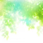 137a5575aca00b8a78d354c22f8af0ba_s