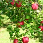 1672109ff6504bedbd678ad1785c73cd_s