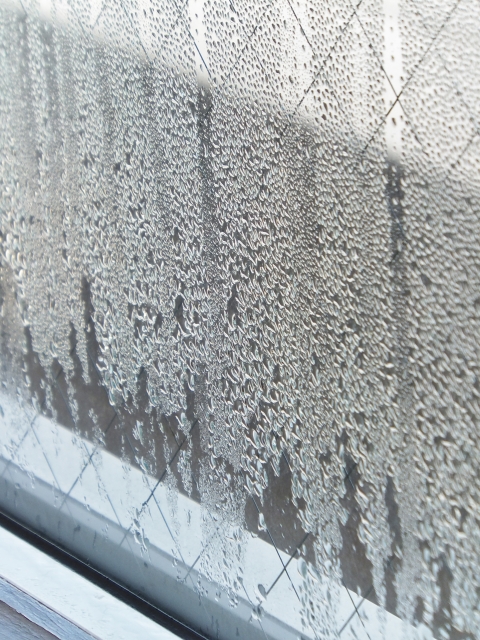 360cf5cd2764d990b4417fb36cc33180_s