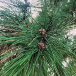 373fccaeddfcbd9de352d12bb23d2a46_s