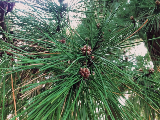 373fccaeddfcbd9de352d12bb23d2a46_s