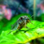 443ad05ba08c0d3ed986ce79e40fd1d5_s