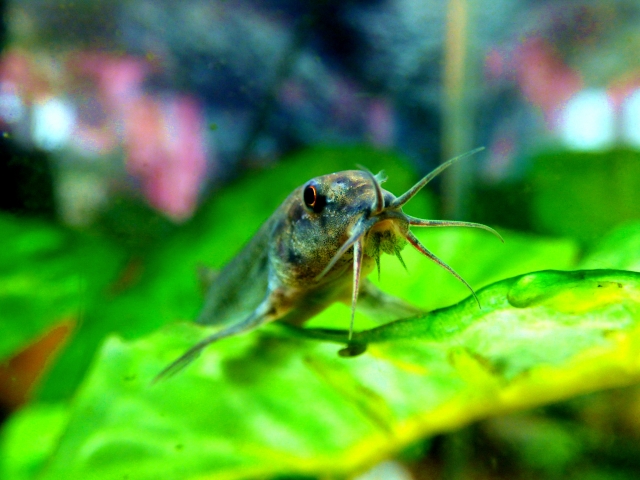 443ad05ba08c0d3ed986ce79e40fd1d5_s