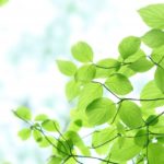 6d2ceceab7cab5ffa09a2b262fe5cba8_s