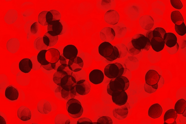 74a8a554d76918d7d2585d80f3f0eca6_s