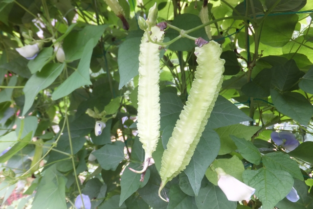 80d13523d6a63dd534250534c22e9175_s