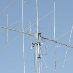 841b6c427fe6274ff34ff5bbf689eecd_s