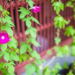 844ad733625d57f3be86d6710b712193_s