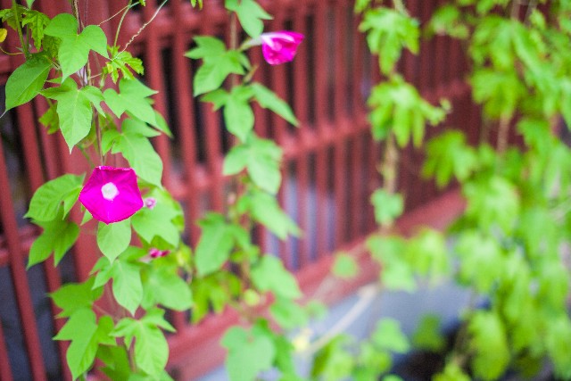 844ad733625d57f3be86d6710b712193_s