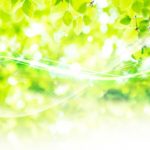 8544da483fa6ab971a49af850b607094_s