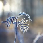 8fe8d11ccd61871f8204d612a1c79911_s