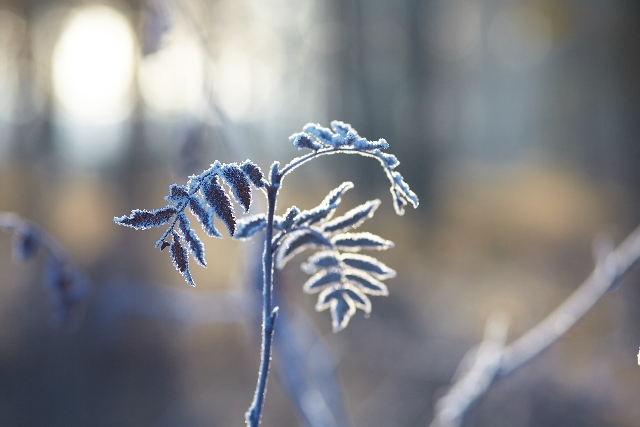 8fe8d11ccd61871f8204d612a1c79911_s