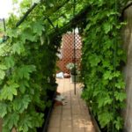 9771760ef872f3fdc29e49f68972ebcb_s