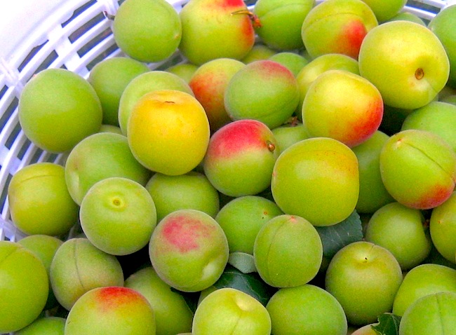 9f05e72aabd2387cb47dcc414e708456_m