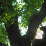 a3afaafc13bbafc8186233138694e6fc_s