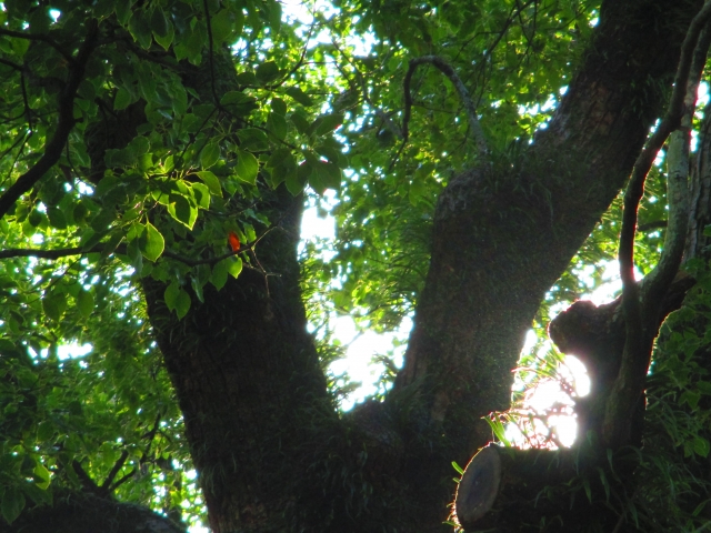 a3afaafc13bbafc8186233138694e6fc_s