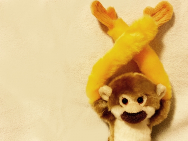 a586924c31298c46e3fdd3b71af706d4_s