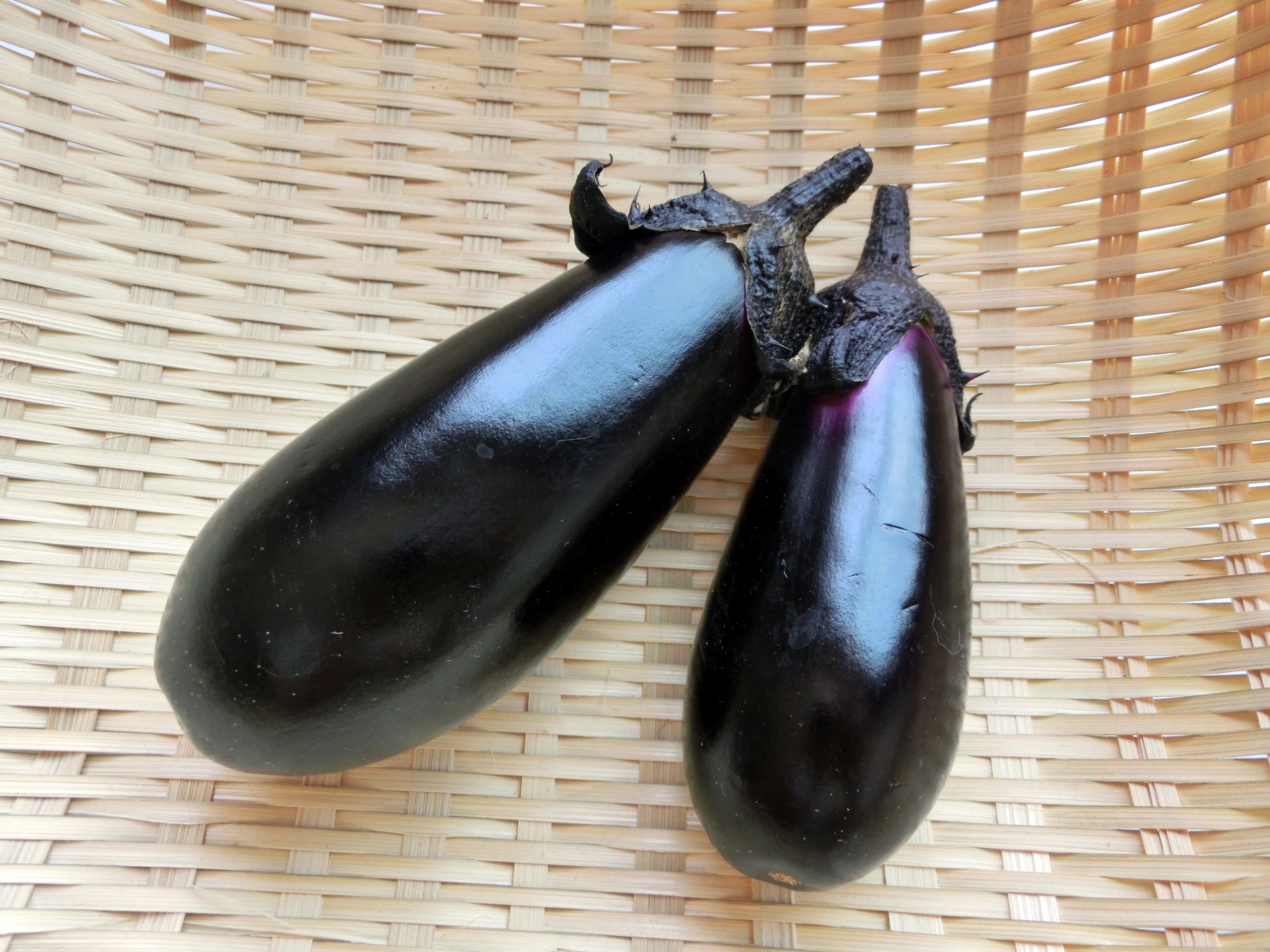 ba0eb2458b715bd0ad5de9d9b324976c_m