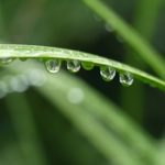 c093c39779c4b95d81a8689f8b572b24_s