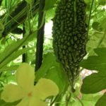 c2dd8a556454b121faf9ab94657dc4e2_s