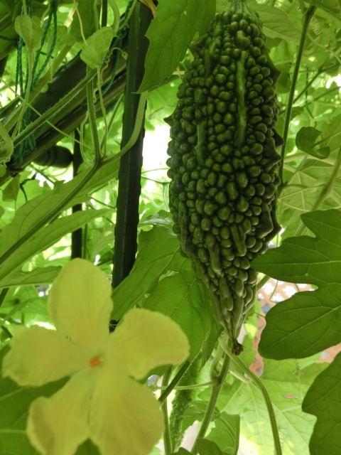 c2dd8a556454b121faf9ab94657dc4e2_s