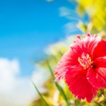 c9dd7178ef27d9116bf8148492024994_m