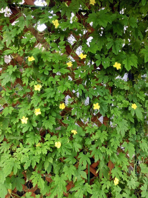 d02a9351884c0e3c9b52c512401189a9_s