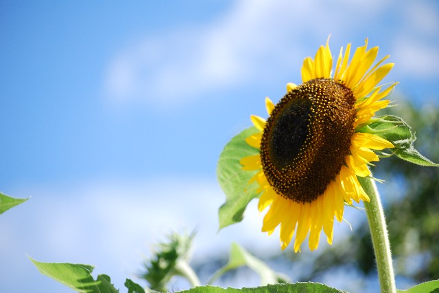 d8fae8405f0599c79e6ab7582cc8a955_s