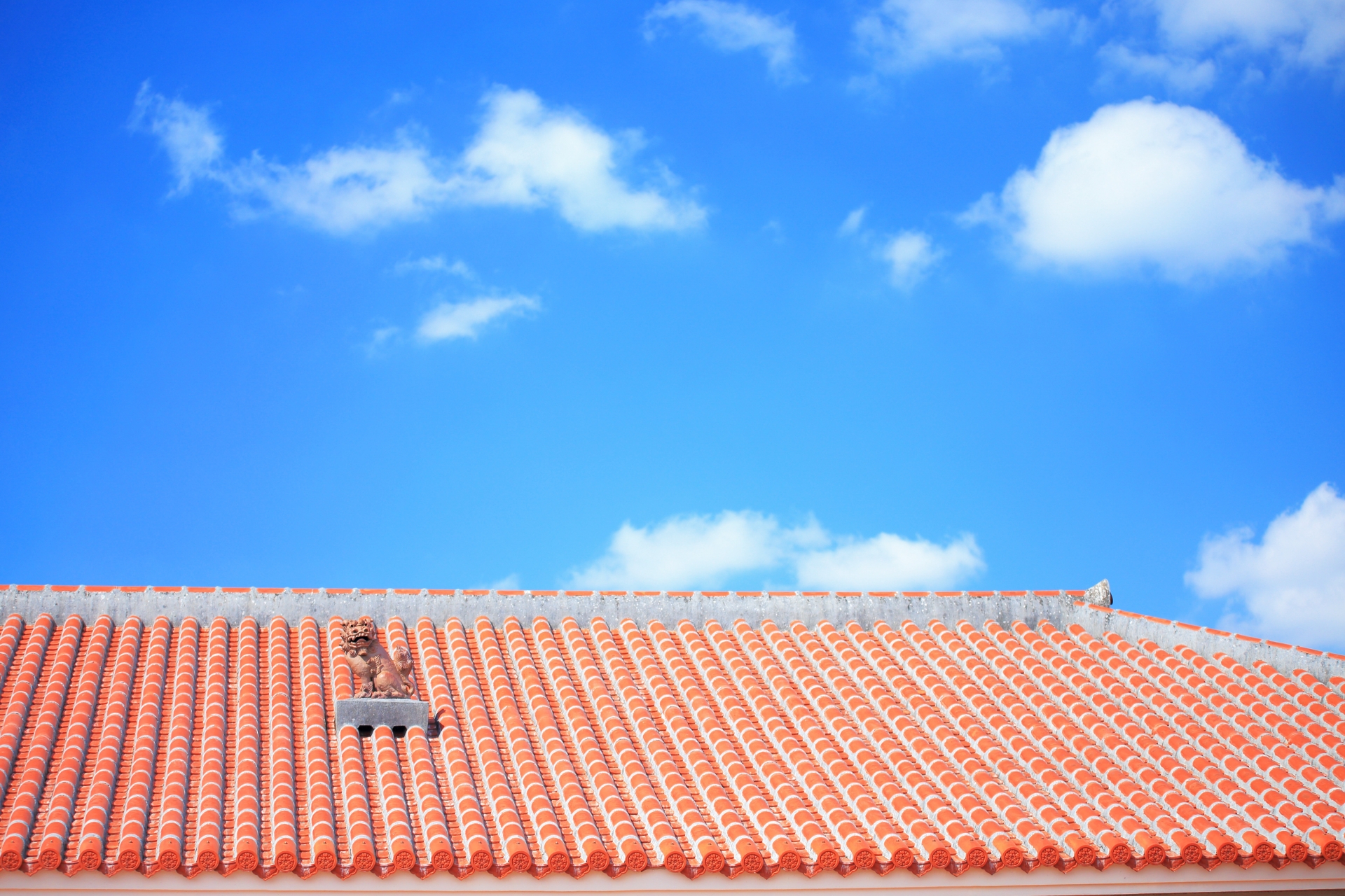 ddccde5ff1733568984c640317c7a053_m