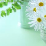 e09227888512bc96e3cef71c798371ed_s