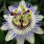 ee6d9e9cbaa413f62d6d4385e55af96c_s