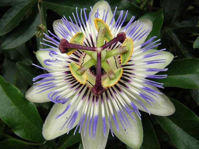 ee6d9e9cbaa413f62d6d4385e55af96c_s